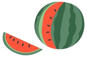 watermeloen fruit met plak en zaden natuurlijk vector