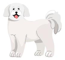 poedel pup, klein hond hoektand dier huisdieren vector