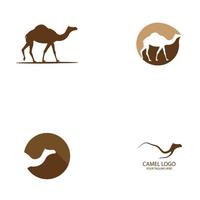 kameel logo vector