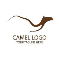 kameel logo vector