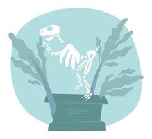 dinosaurus botten en skelet in natuurlijk museum vector