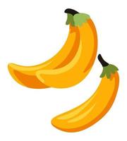bananen vrij fruit rijp biologisch Product vector