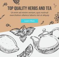 top kwaliteit kruiden en thee, op te slaan met dranken vector