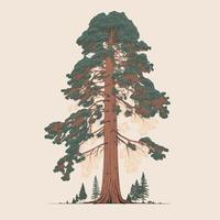 volwassen reusachtig sequoia boom vector