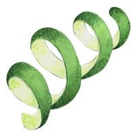 waterverf illustratie van groen limoen Pel. geschild gedraaid citrus fruit huid. geïsoleerd Aan een wit achtergrond vector