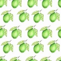 sappig groen limoen. exotisch citrus fruit. waterverf naadloos patroon. Aan een wit achtergrond. geschikt voor textiel, verpakking, inpakken, ansichtkaarten, decoratie. vector