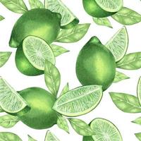 sappig groen limoen. limoen plakjes. exotisch citrus fruit. waterverf naadloos patroon. Aan een wit achtergrond. geschikt voor textiel, verpakking, inpakken, ansichtkaarten, decoratie. vector