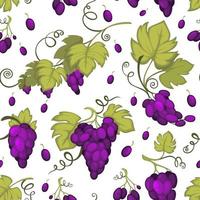 rijp druiven, fruit oogsten naadloos patroon vector
