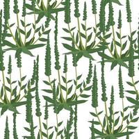 gebladerte en groen van planten, flora patroon vector