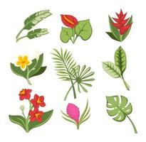 tropisch bloemen en exotisch plantkunde, bloesem bladeren vector