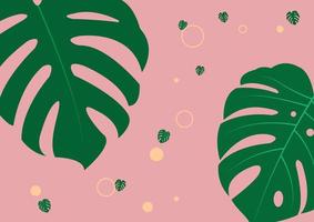 de ontwerp is modieus en exotisch voor de blad monstera groen van natuur in de zomer botanisch oerwoud voor de banier achtergrond, decoratie, kader, en voor illustratie. vector