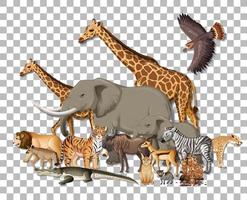 groep wilde Afrikaanse dieren op transparante achtergrond vector