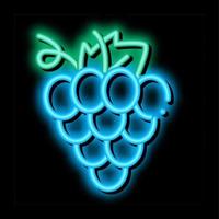 druif wijn BES neon gloed icoon illustratie vector