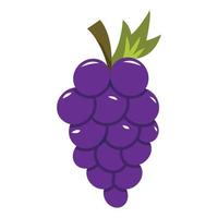 druiven vector illustratie voor uw ontwerp element