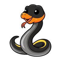 schattig zwart koper Rat slang tekenfilm vector