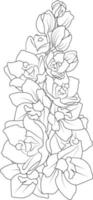 delphinium, ridderspoor bloem lijn kunst, vector illustratie, hand getekend potlood schetsen, kleur boek, en bladzijde, geïsoleerd Aan wit achtergrond klem kunst.
