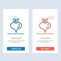 voedsel raap groente blauw en rood downloaden en kopen nu web widget kaart sjabloon vector
