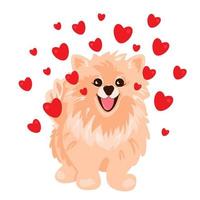 hond met rood harten. schattig pommeren spits. vector illustratie