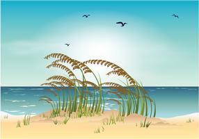 Zee haver strand vectorillustratie vector