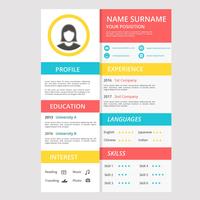 Flat Color Full Cv of Resume Company vector