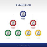 organogram lay-out vector