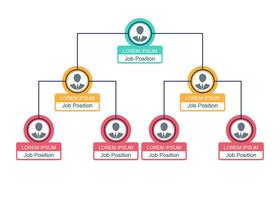 Business Organogram-diagram vector