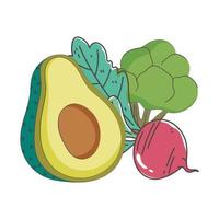 avocado biet en broccoli verse voeding gezonde voeding geïsoleerde pictogram ontwerp vector