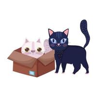 zwarte kat en witte kat in doos cartoon huisdieren vector