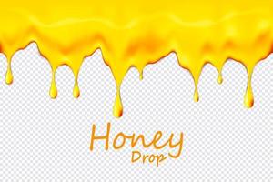 naadloze druipende herhaalbare honing geïsoleerd op transparante achtergrond, vector kunst en illustratie.