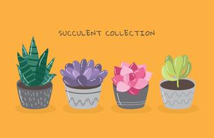 Succulente collectie vector