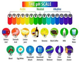 het ph-schaal diagram op een witte achtergrond vector