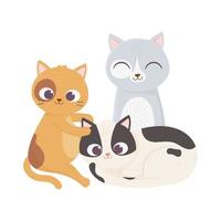 katten maken me blij, differents kat huisdieren cartoon vector