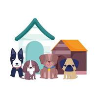 dierenwinkel, schattige kleine honden die verschillende rassen zitten en huisdieren huiselijk beeldverhaal vector