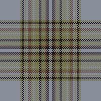 plaid controleren patroon. naadloos kleding stof textuur. Schotse ruit textiel afdrukken. vector