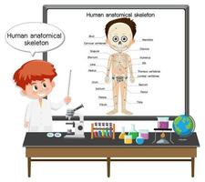 jonge arts menselijk anatomisch skelet uit te leggen vector