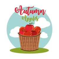 appels van de herfst in rieten mand vector