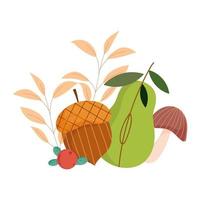 herfst acorn peer paddestoel gebladerte geïsoleerd ontwerp witte achtergrond vector