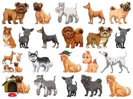 verschillende grappige honden in cartoon stijl geïsoleerd op een witte achtergrond vector