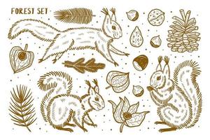 bos set elementen, illustraties. dieren, natuur, planten. vector