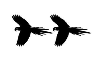 vliegend ara vogel silhouet voor logo, pictogram, kunst illustratie, website of grafisch ontwerp element. vector illustratie