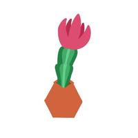 tekenfilm cactus. vector illustratie in vlak stijl geïsoleerd Aan wit achtergrond.