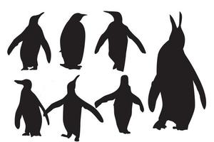 vector vlak illustratie reeks van pinguïns in verschillend poseert. volwassen vogelstand en kuikens. vector illustratie, geïsoleerd Aan een wit achtergrond.