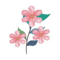 roze bloemen tekenen met bladeren vector ontwerp