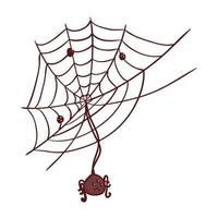 halloween, schattig spin hangende van spinneweb in wit achtergrond vector