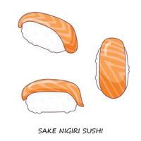 Zalm sushi nigiri Aan wit achtergrond. rijstwijn nigiri. verschillend visie. traditioneel Japans voedsel. vector clip art.