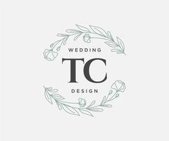 tc initialen brief bruiloft monogram logos verzameling, hand- getrokken modern minimalistisch en bloemen Sjablonen voor uitnodiging kaarten, opslaan de datum, elegant identiteit voor restaurant, boetiek, cafe in vector