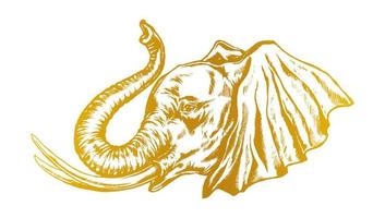 olifant hoofd. gouden silhouet van een olifanten hoofd in profiel. vector