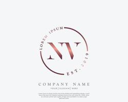 eerste brief nv vrouwelijk logo schoonheid monogram en elegant logo ontwerp, handschrift logo van eerste handtekening, bruiloft, mode, bloemen en botanisch met creatief sjabloon vector