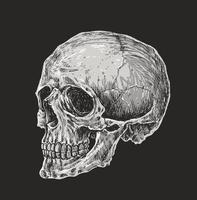 schedel en gekruiste beenderen tekening illustratie vector