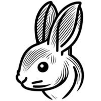 konijn konijn zoogdier dier hoofd vector